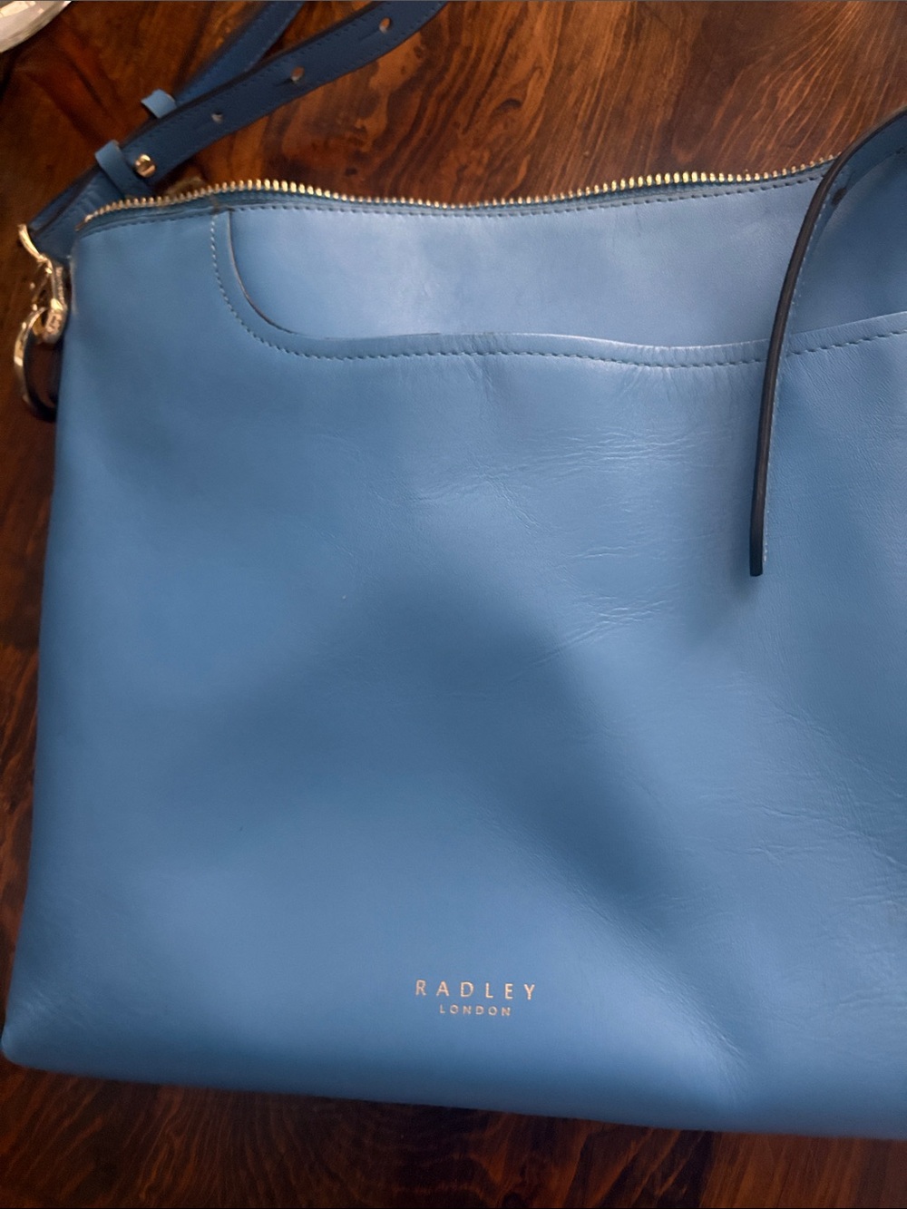 RADLEY LONDON Sky Blue Leather Band Shoulder Bag